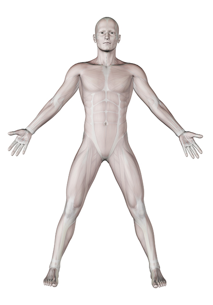 The AIM with Immunotherapy Initiative – Home