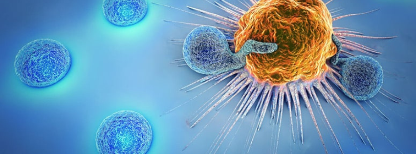 Observations Learned from Steroid Use to Manage Immune-Related Adverse Events (irAEs)