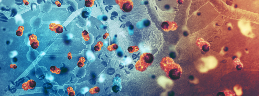 A Strategy Aimed at Reducing the Toxicity Associated with TIL Therapy