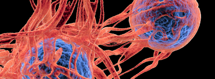 Cytokine Release Syndrome