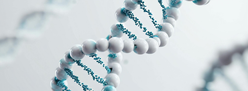 Biomarcadores de inmunoterapia para predecir la respuesta al tratamiento y monitorizar los resultados del mismo.