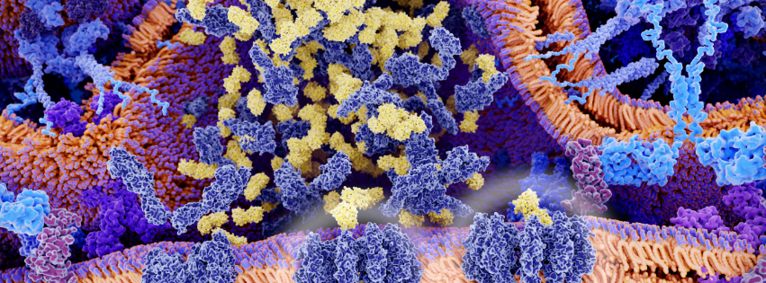 Evidence-Based Cancer Immunotherapy Guidelines for Healthcare Providers